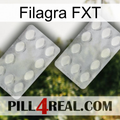 Filagra FXT 17